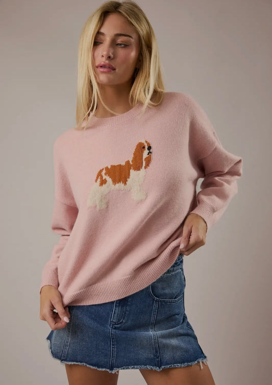King Charles Spaniel sweater