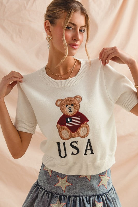USA teddy bear sweater