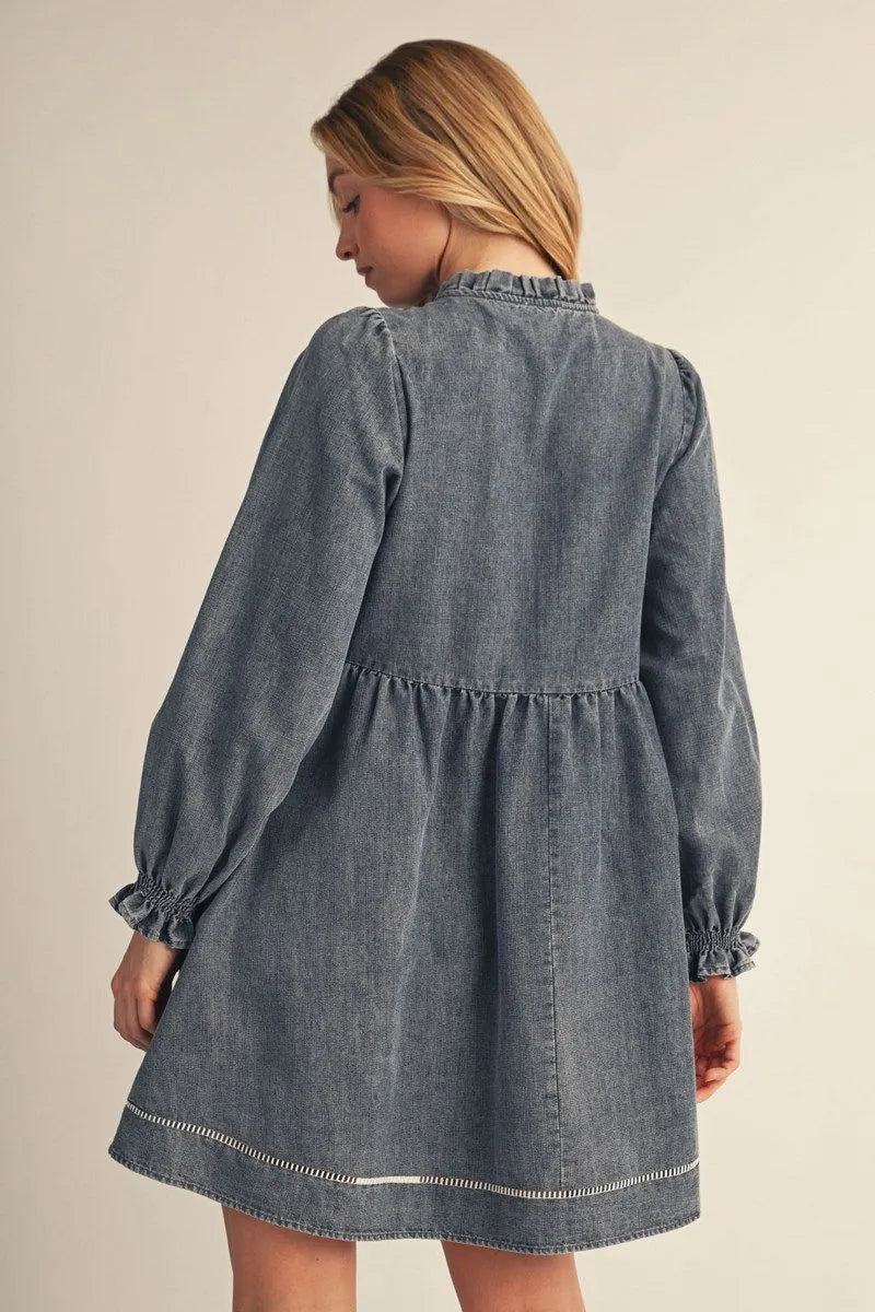 Embroidered denim dress