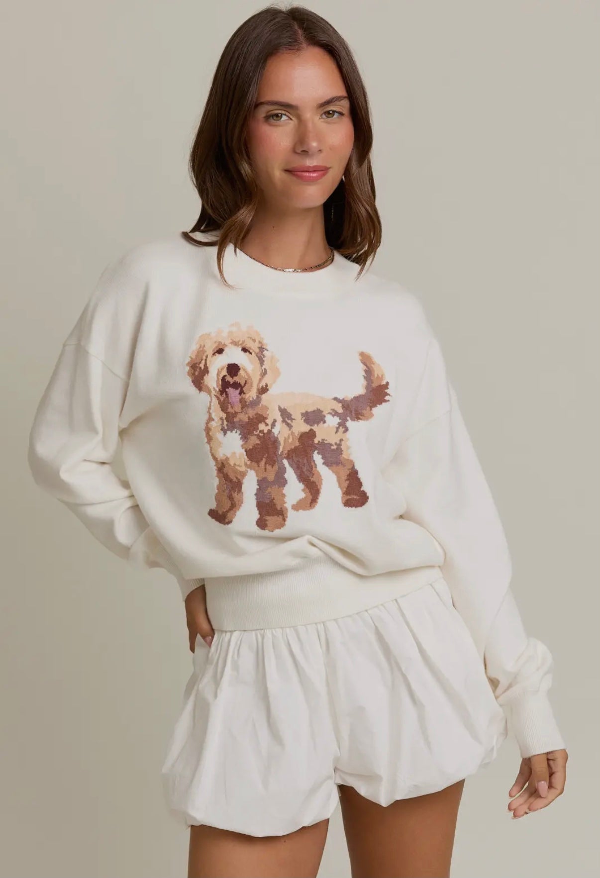 Fluffy dog sweater